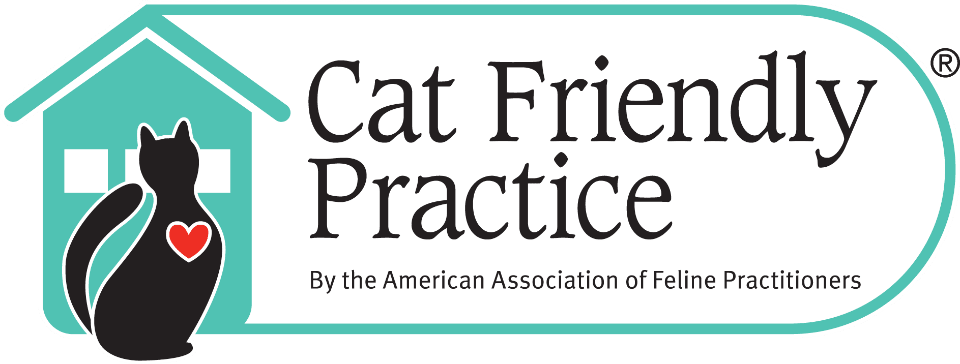 Cat Friendly Practice  | Opens in a new tab