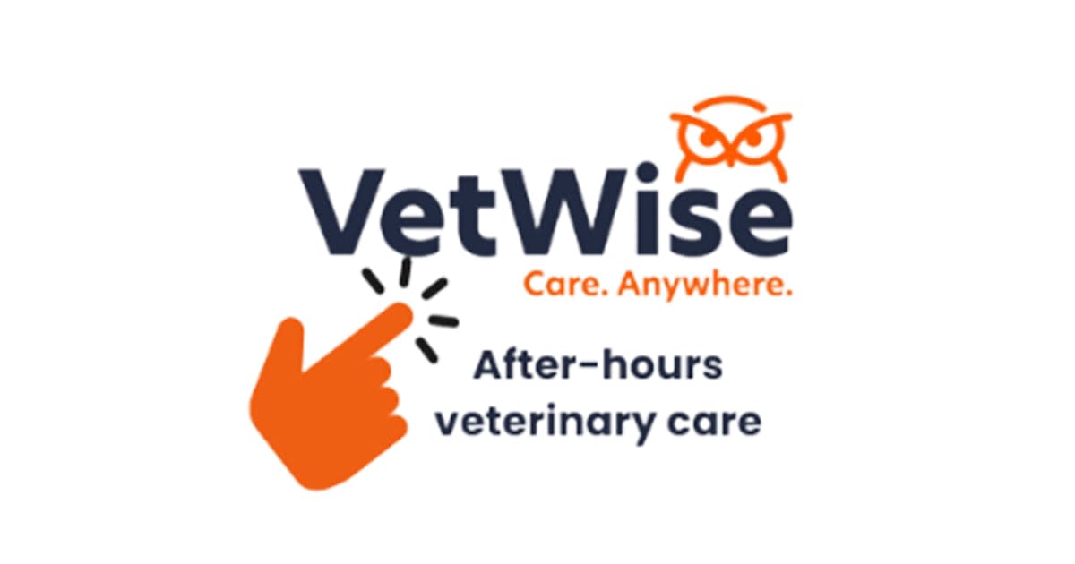 VetWise Virtual Support